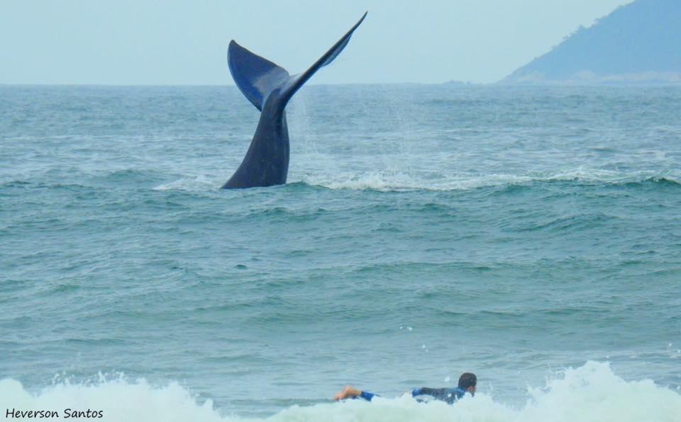 Tranquilidade Na Praia Da Gamboa Гаропаба Экстерьер фото